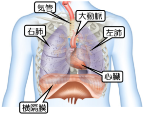 胸骨と胸骨下の痛み